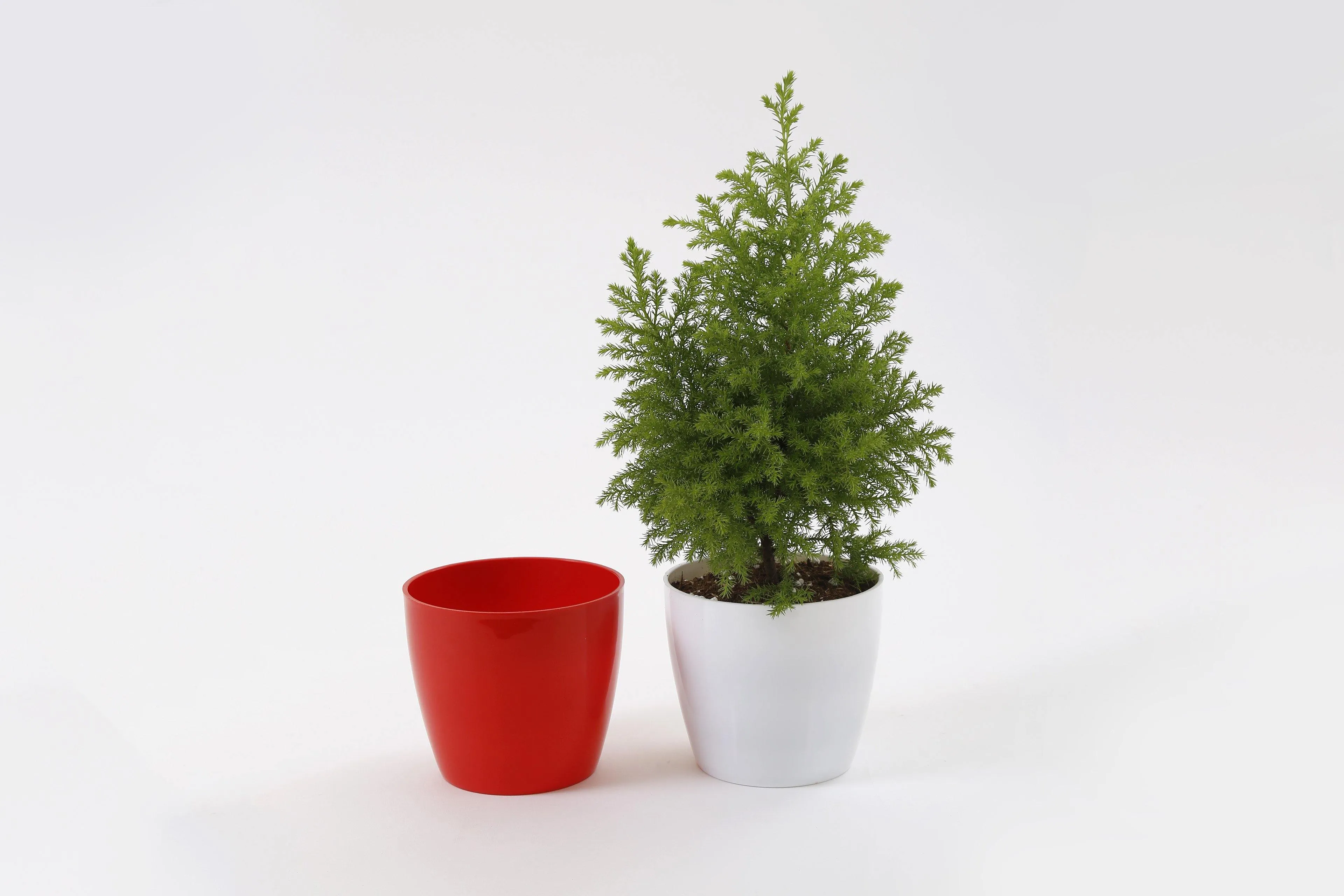 5 Inch Red Singapore Pot (125mm)
